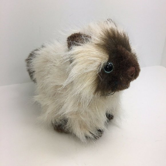 Ganz Webkinz Himalayan Cat 8" Plush Long Hair White Brown No Code Kitten - Picture 2 of 12